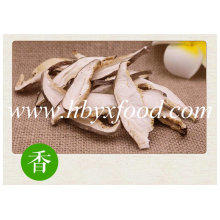 Dehydrated Shiitake Mushroom Slices with Best Price to Europe